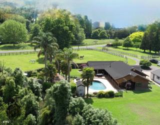 Palms on Bruntwood - Tamahere - 1