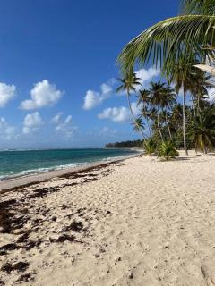 Logement MATESYL - Capesterre-de-Marie-Galante - 3