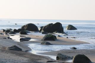 Bungalow WALD & SAND direkt am Strand - Dranske - 8