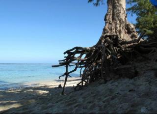 Ti Tropikal - Lagon - 9