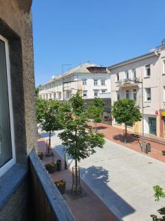 Downtown Apartment Rentals 3 - Šiauliai - 9