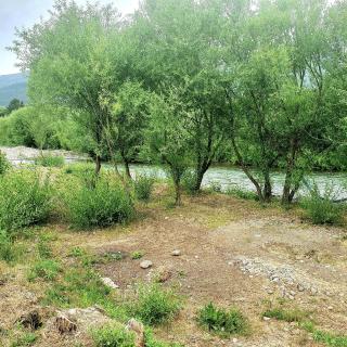 Hostel,Dormis y Camping Costa Bolsón - 8