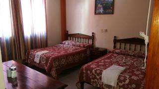 Hotel y Bungalows Olivares - 9