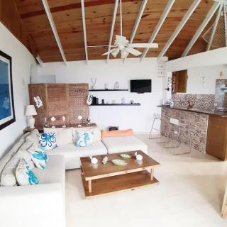 BLUE HOUSE OCEAN VIEW - Santa Bárbara de Samaná - 4