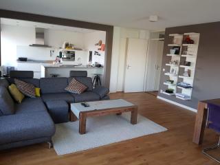 Riverview Apartment Rotterdam - Rotterdam - 7