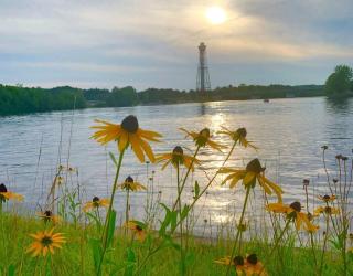 Parc de l'Île Melville 2 - Maison flottante - Shawinigan - 6