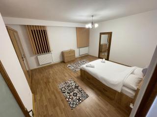 Cozy Central Apartment - Sighetu Marmaţiei - 2
