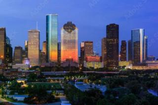 Heart of Houston NRG/TMC Beautiful Studio 77030 - Houston - 8