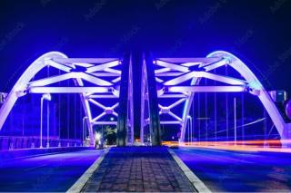Heart of Houston NRG/TMC Beautiful Studio 77030 - Houston - 1