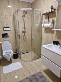 Crăițelor Boutique Airport Apartment - Otopeni - 4