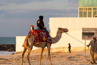 Amazing Beachfront Holiday Home - 7