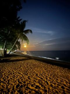 AivyMaes Divers Resort - Dauin - 7
