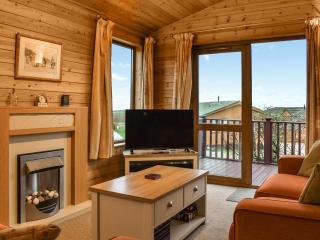 Pine Lodge - Ilfracombe - 8