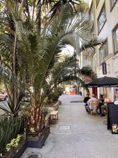 Condesa Residence Campeche 4 2B, 1 Bath Retreat Featuring Generous Spaces - Città del Messico - 3