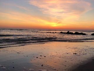 Charmant Studio au Coeur de Berck Plage, à 5 min de la Mer - FR-1-646-57 - Berck-sur-Mer - 1