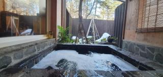 snowhere ski lodge - 3