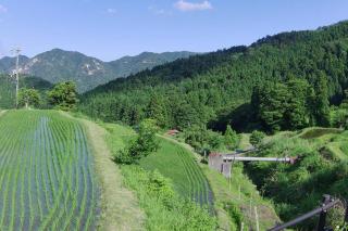 Private villa at foot of mountain grateful nature - 9