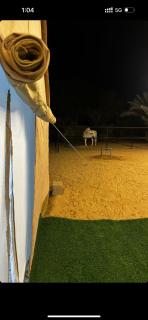استراحة واحة الختم - Abu Dhabi - 6