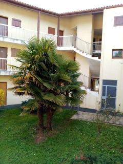 Charming apartment in the heart of La Palmyre - Les Mathes - 9