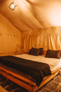 H2H Bir l Nature Camps - 7