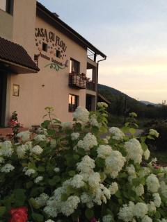 Pensiunea Casa cu Flori - Cisnădioara - 9
