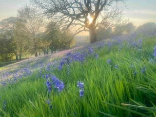 Stunningly stylish cottage. - Bradwell - 9