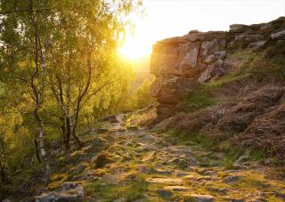 Stunningly stylish cottage. - 6