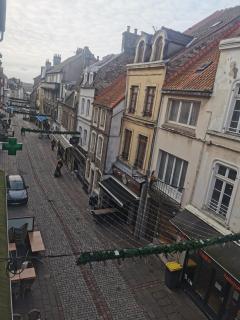 La chambre de pousse - Boulogne-sur-Mer - 7