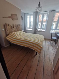 La chambre de pousse - Boulogne-sur-Mer - 2
