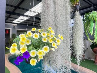 Chean-Chean House - 5