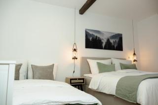 JASTA Homes Altstadt, zentral, überdachter Parkplatz, Netflix, Vollausstattung, Loft, modern und Komfort - Hameln - 3