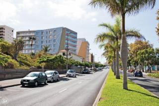 Apartamento Zona Turística - Funchal - 2