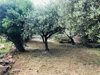 La Bergerie en Cévennes - 5