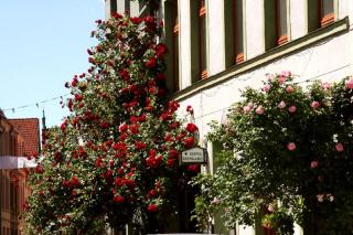 Hotel Reingard - Wismar - 2