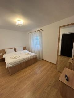 Vila Artemis Straja - Lupeni - 5