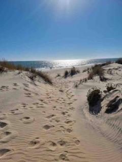 Beachfront 3 Bedroom Family Apartment - Matalascañas - 0
