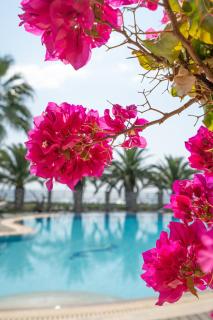 Empyrean Greece Villa - Kalivia Poligirou - 6