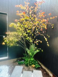 Retreat Tachibana 旅趣・橘 - Osaca - 5