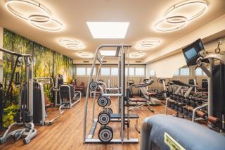 Vital-Hotel-Styria - Fladnitz an der Teichalm - 1