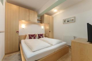 Ski-In/Ski-Out Appartements Augasse by Schladming-Appartements - 4