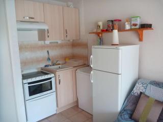 Appartement cosy avec accès plage et parking, 4 couchages à Marseillan-Plage - FR-1-387-92 - Marseillan - 6