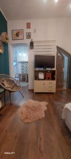 Garden - Satu Mare - 1