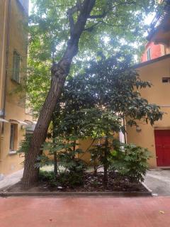 Casa Ortelia: apartment in a historic building - Bologna - 7