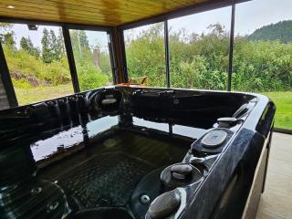 Chalet du Badamier Blanc - Le Tampon - 9