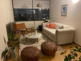 Providencia, ubicación inmejorable, cercano a todos los puntos de interés de la ciudad - Santiago - 8