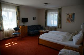 Gasthof Goldener Fisch - Lienz - 9