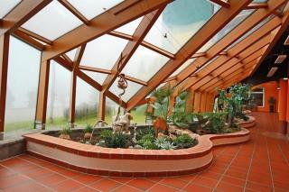 Alpine Resort Apartment- Schladming - Schladming - 6