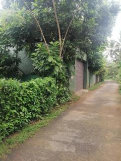 Herin Green House - Galle - 1