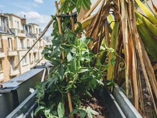 La Colonie // Cosy - terrasse - Butte aux cailles - París - 2