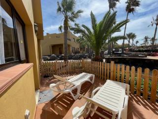 The Little Palm - 1